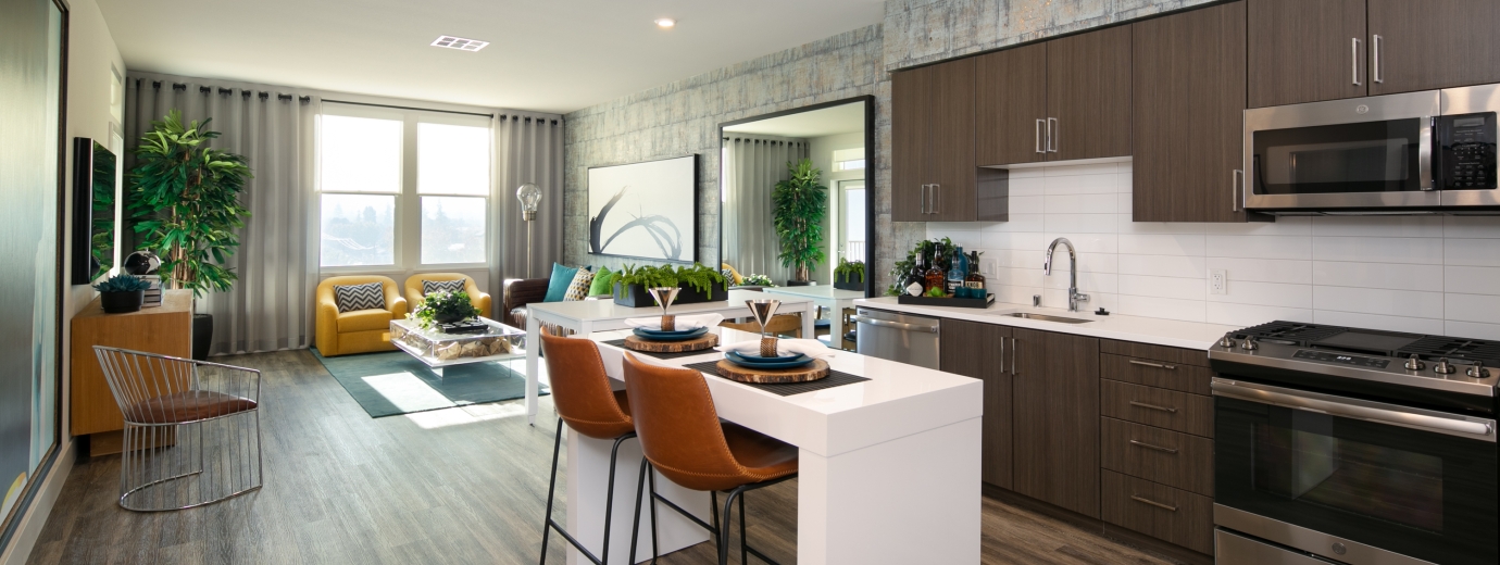 Kitchen and living room